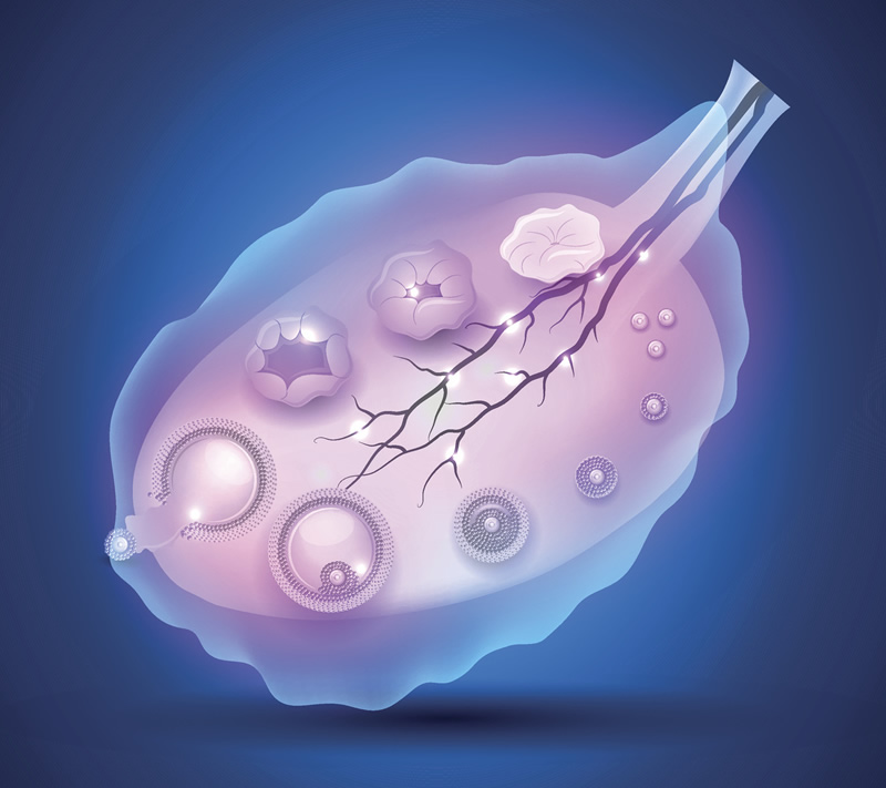 2026年石家庄三代试管助孕机构排名前十榜单：河北医科大学第二医院领衔，附试管费用与解析